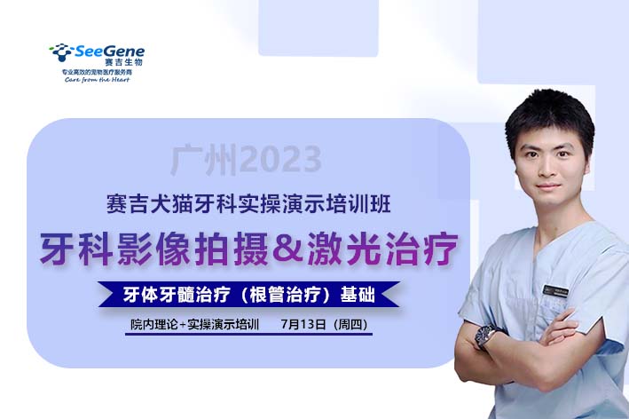 赛吉犬猫牙科实操演示培训班广州站