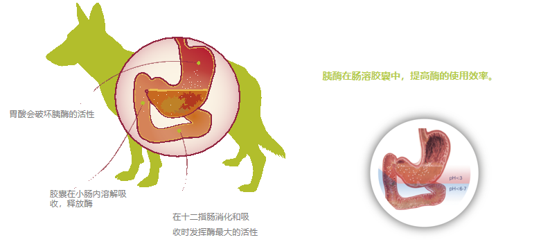 17.png
