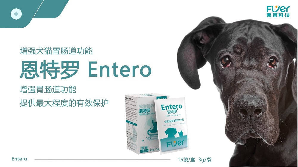 Flyer品牌-恩特罗 Entero 产品展示