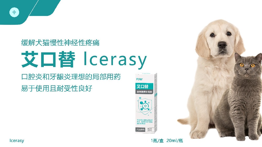 Flyer品牌-艾口替  Icerasy 产品展示