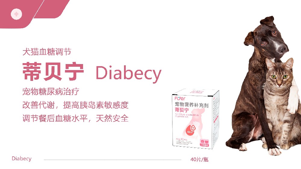 Flyer品牌-蒂贝宁 Diabecy 产品展示