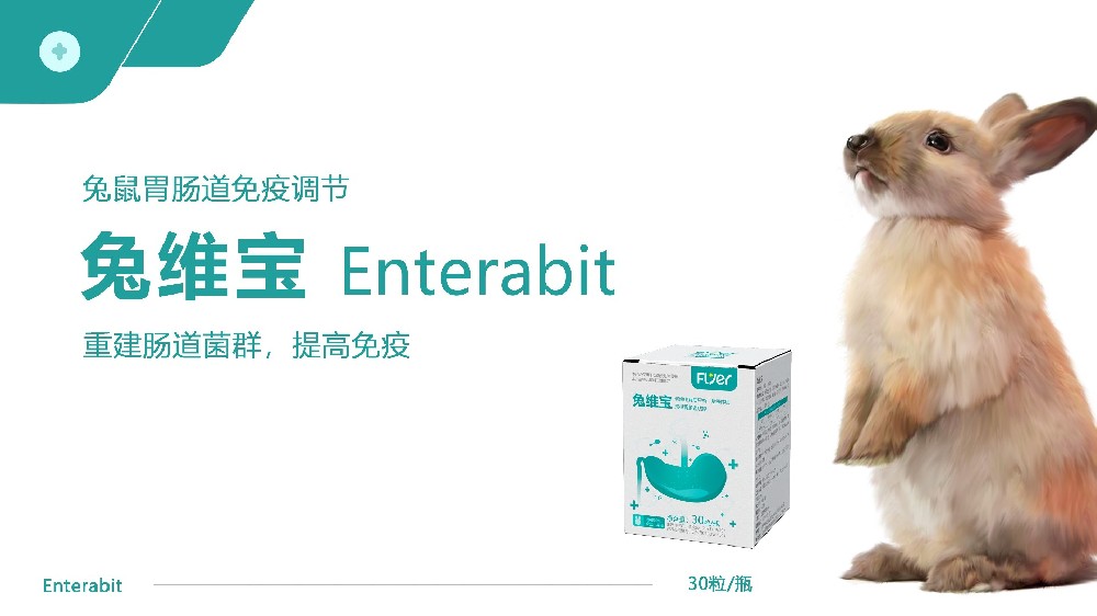 Flyer品牌-兔维宝 Enterabit 产品展示