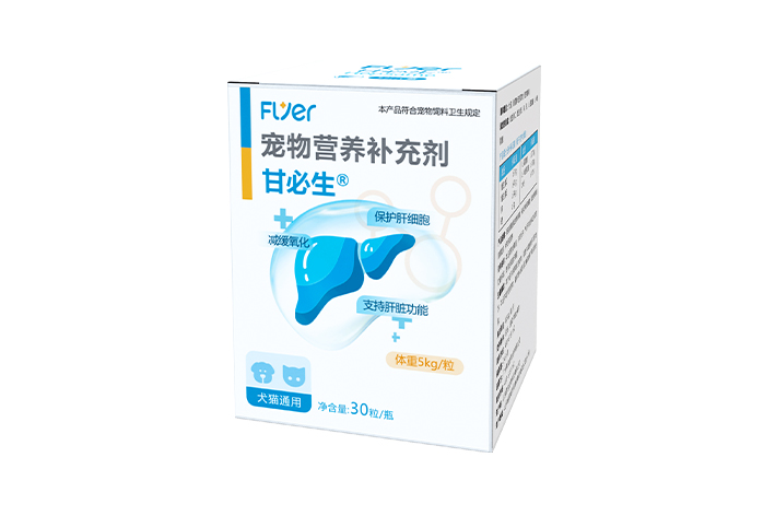 Flyer 甘必生 （护肝片） Hepsame