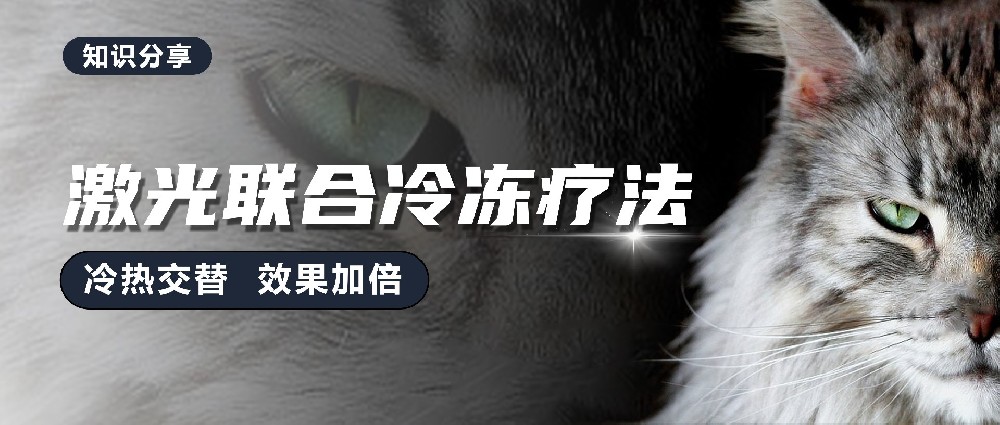 激光联合冷冻疗法，冷热交替，效果加倍