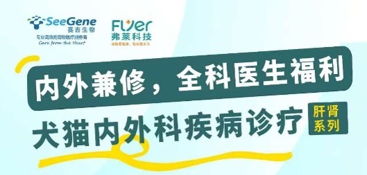 课程预告丨犬猫内外科疾病诊疗（肝肾系列）-甘肃站